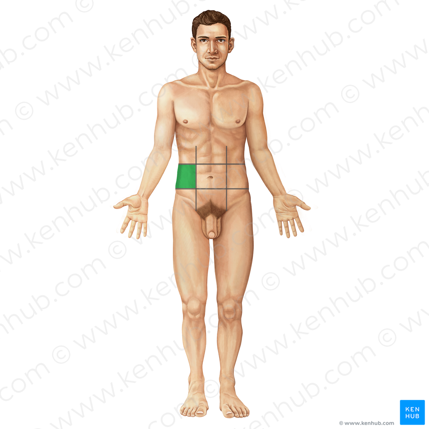 Right lateral region of abdomen (#19670)