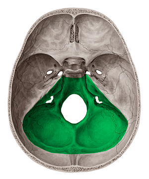 Posterior cranial fossa (#3844)