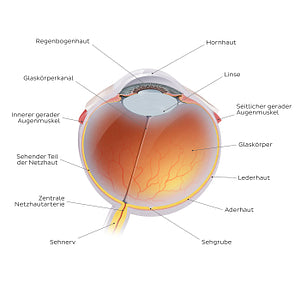 Eyeball (German)