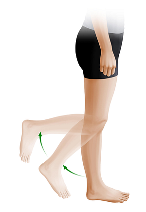 Flexion of leg (#11018)