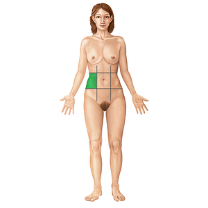 Right lateral region of abdomen (#19671)