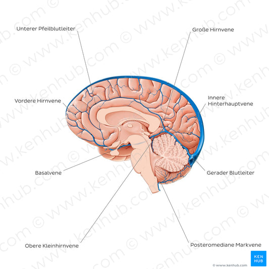 Cerebral veins - Medial view (German)