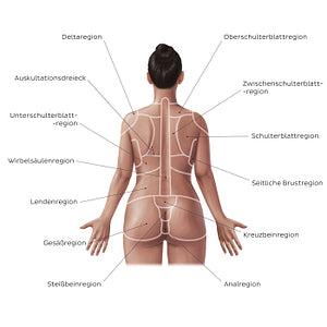 Regions of the back and buttocks (German)
