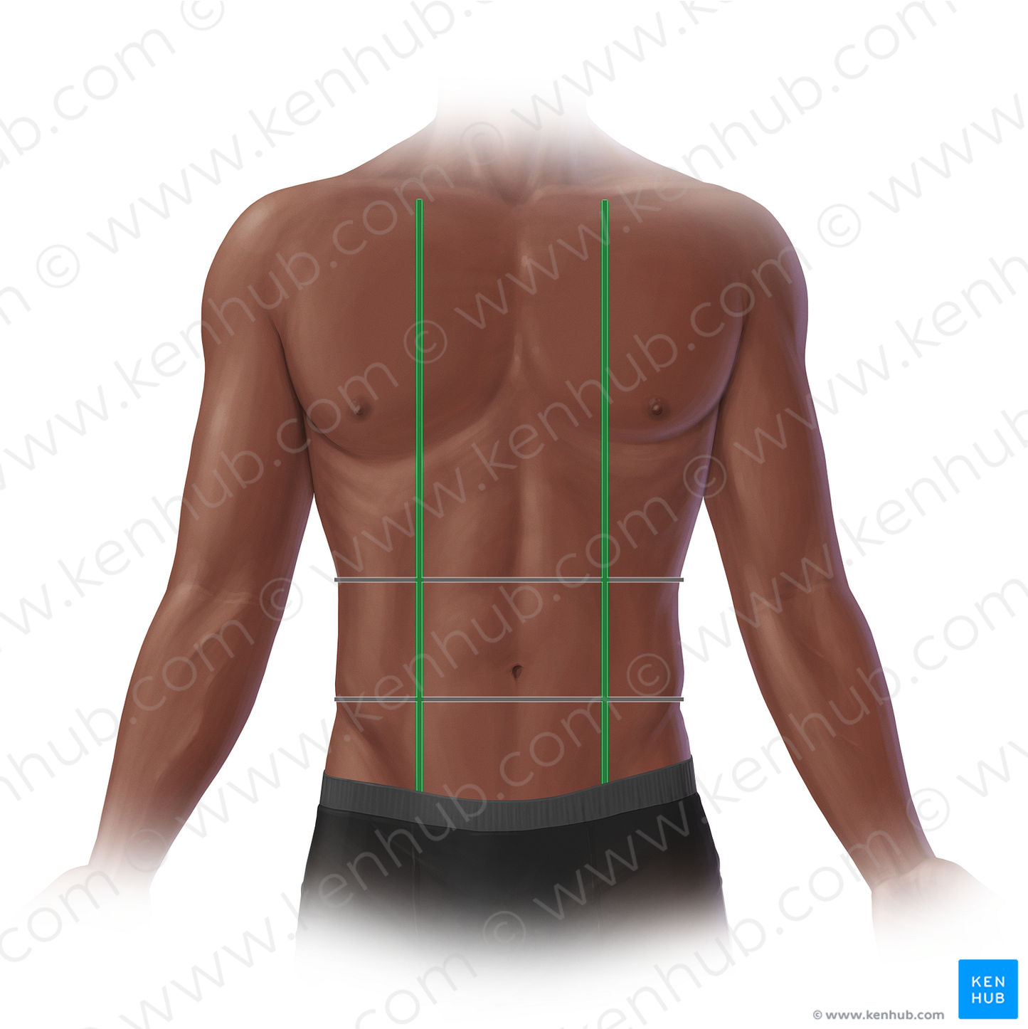 Midclavicular line (#20718)