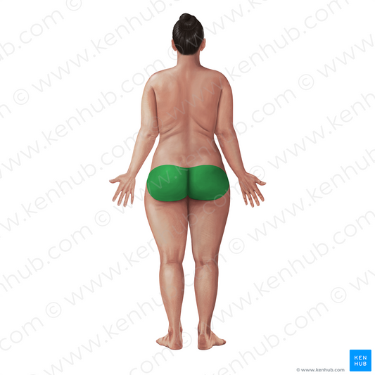 Gluteal region (#21070)