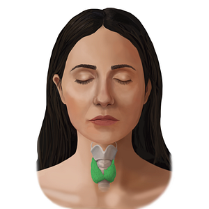 Thyroid gland (#14070)