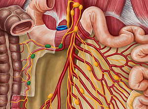 Right colic lymph nodes (#6994)