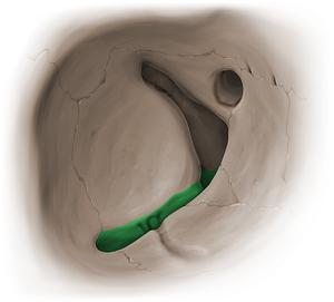 Inferior orbital fissure (#14092)