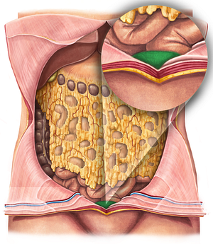 Urinary bladder (#10816)