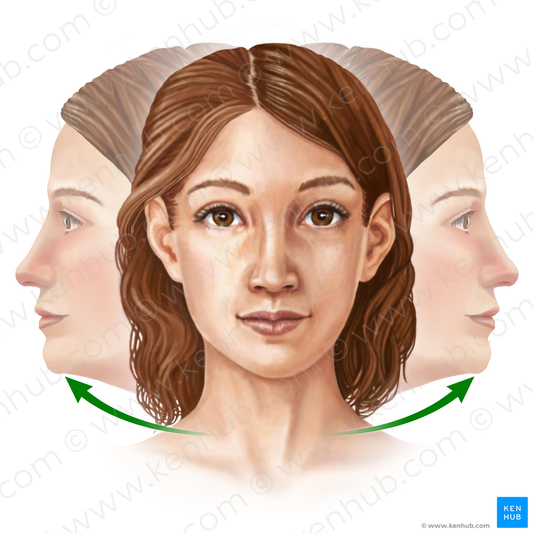 Rotation of head (#11032)