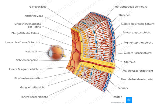 Retina I (German)