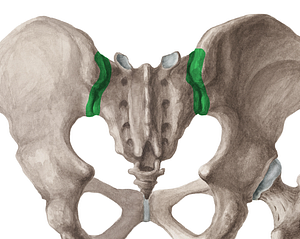 Sacroiliac joint (#2083)