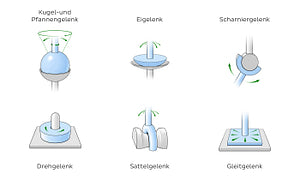 Types of synovial joints (German)