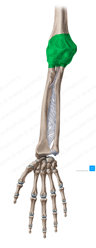 Elbow joint (#148)