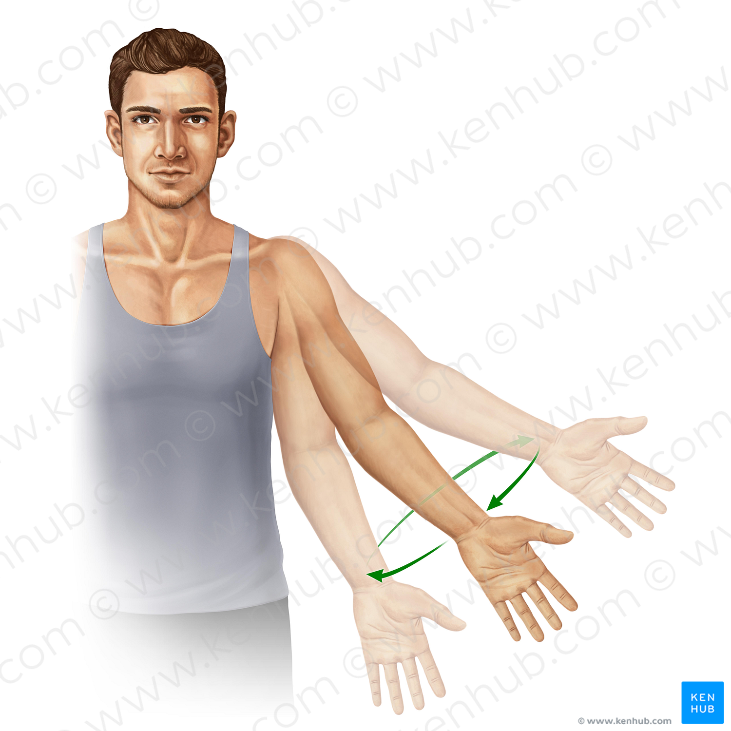 Circumduction of arm (#11009)