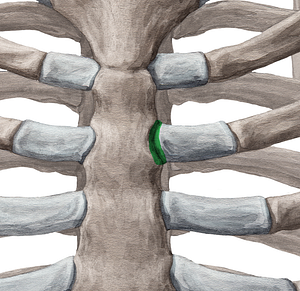 Sternochondral joints (#2089)