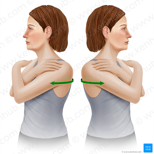 Rotation of vertebral column (#12653)